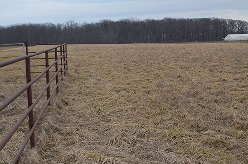 Property photo 52 - REAL ESTATE & FARM EQUIPMENT AUCTION IN ALLEN COUNTY, INDIANA